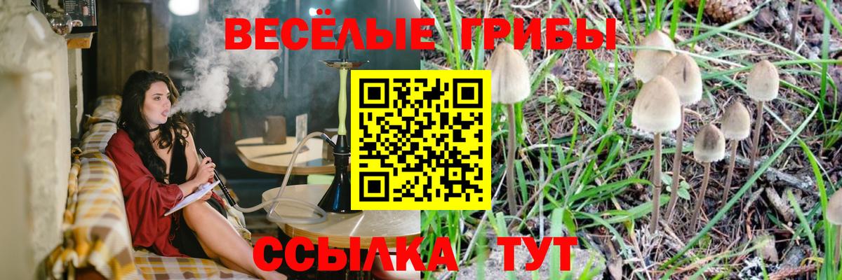 Галлюциногенные грибы GOLDEN TEACHER  Вход с VPN  Тобольск 